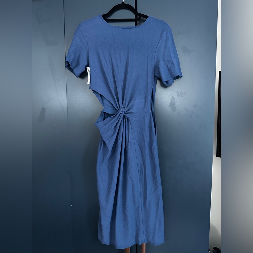 Babaton cutout dress